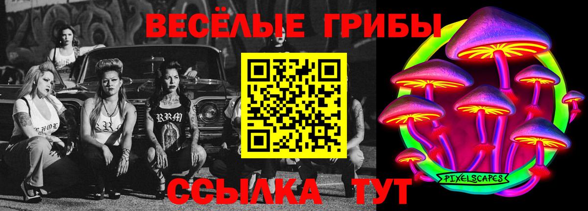 Галлюциногенные грибы Magic Shrooms  Вход с VPN  Бутурлиновка  Галлюциногенные грибы Cubensis 